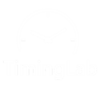 TimingLab